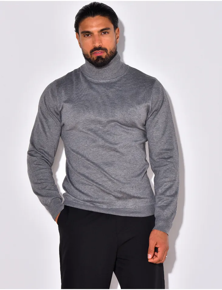 Pull fin col roulé / 56545 - JEANS INDUSTRY